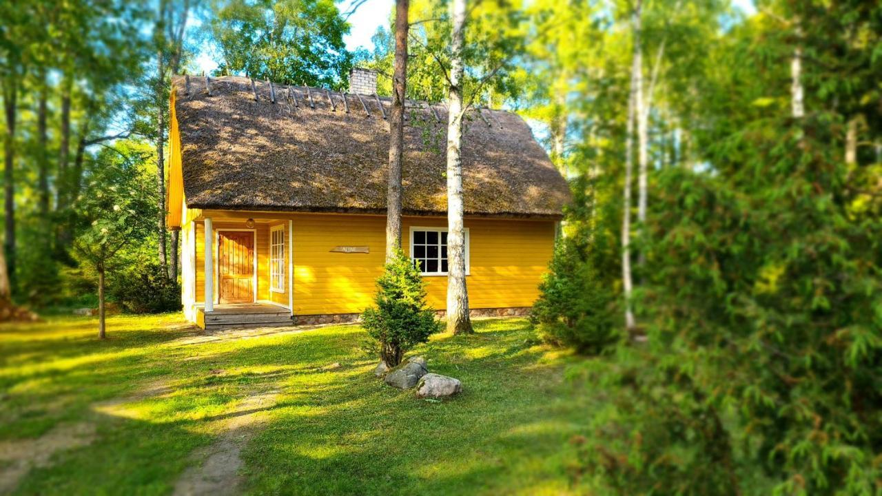 Marta-lovise Puhkemaja Aliine